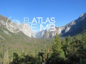 Consejos para recorrer YOSEMITE, el gran bosque de EEUU