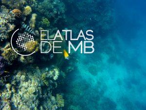 Visitar la GRAN BARRERA DE CORAL, ciudades de peces de colores