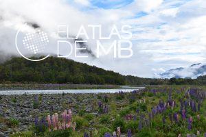 Qué ver en NUEVA ZELANDA, el país de la gran nube blanca