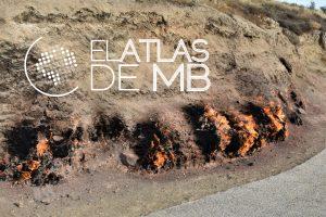Excursiones desde Bakú: cultura entre petróleo y fuego