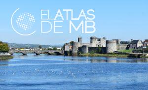 Qué ver en LIMERICK, el tratado del arpa