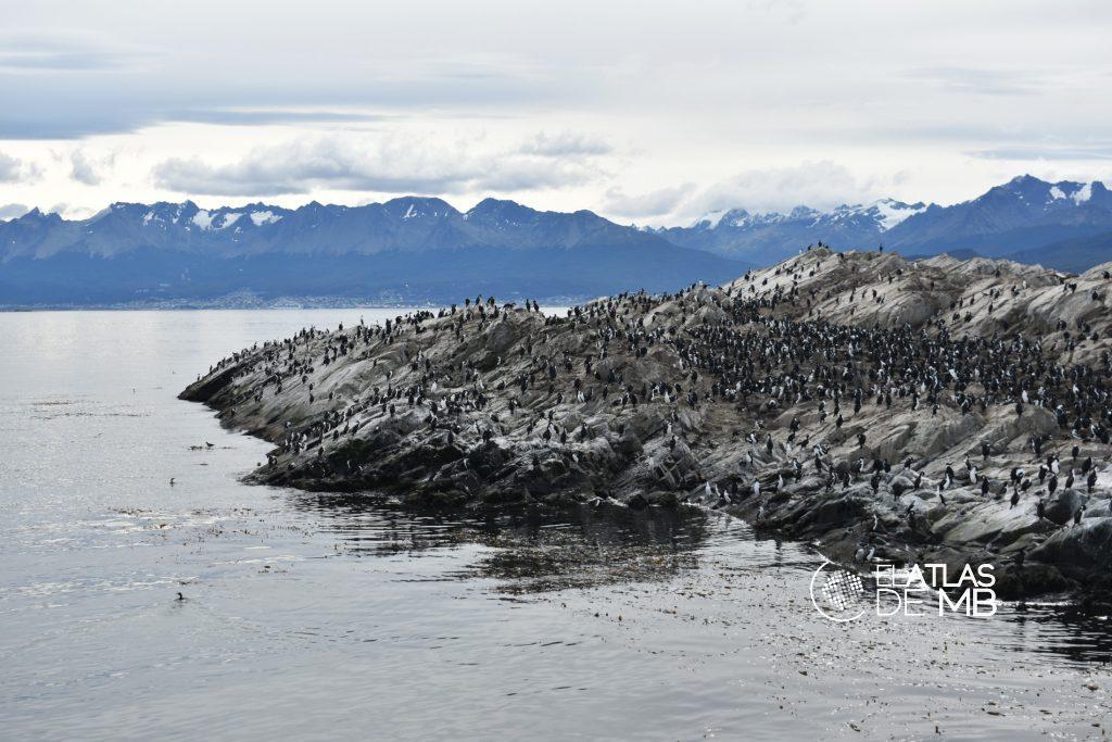 USHUAIA y Tierra del Fuego, en el fin del mundo