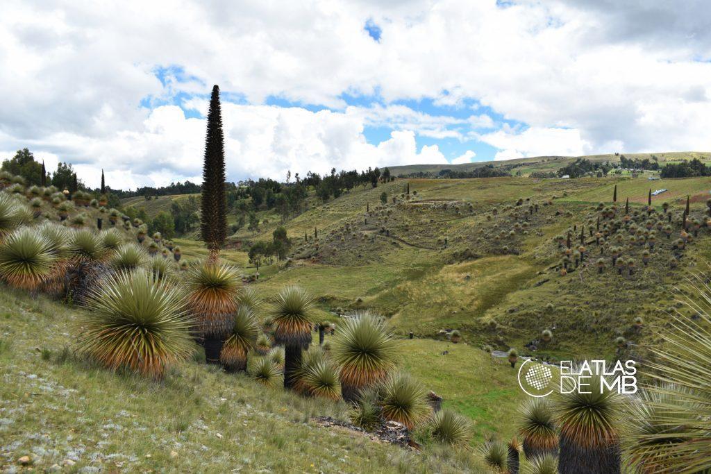Visitar AYACUCHO, sendero al auténtico Perú