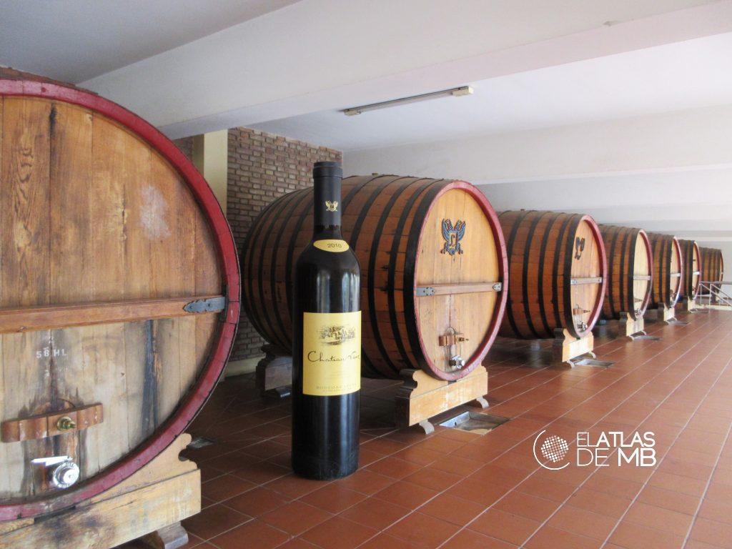 MENDOZA, la capital del vino argentino