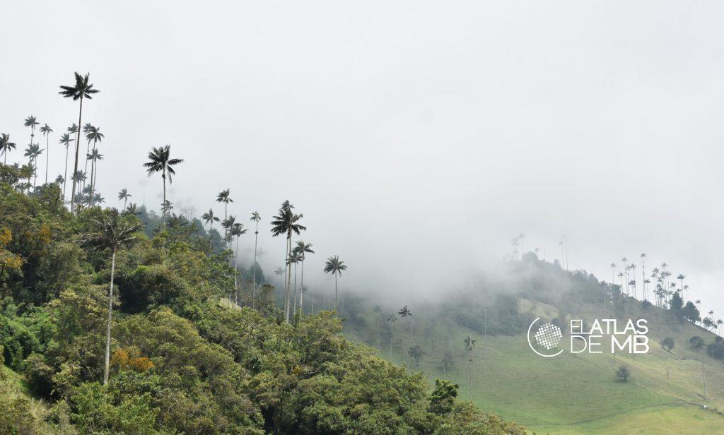 Visitar el EJE CAFETERO, el sabor de Colombia