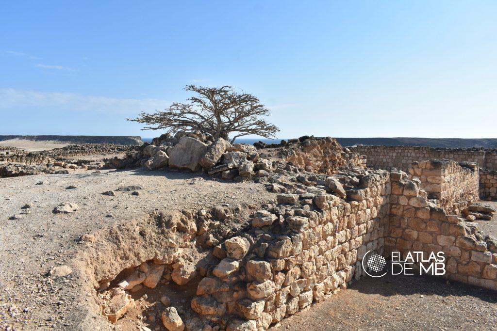SALALAH, la mítica tierra del incienso
