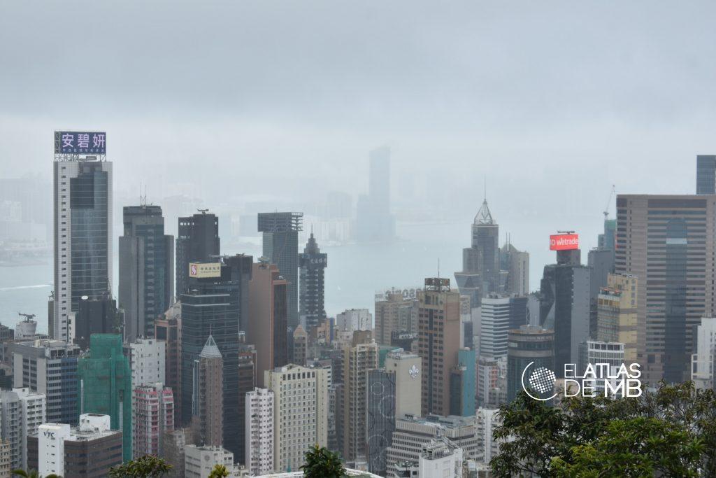Qué ver en HONG KONG, pétalos de vanguardia