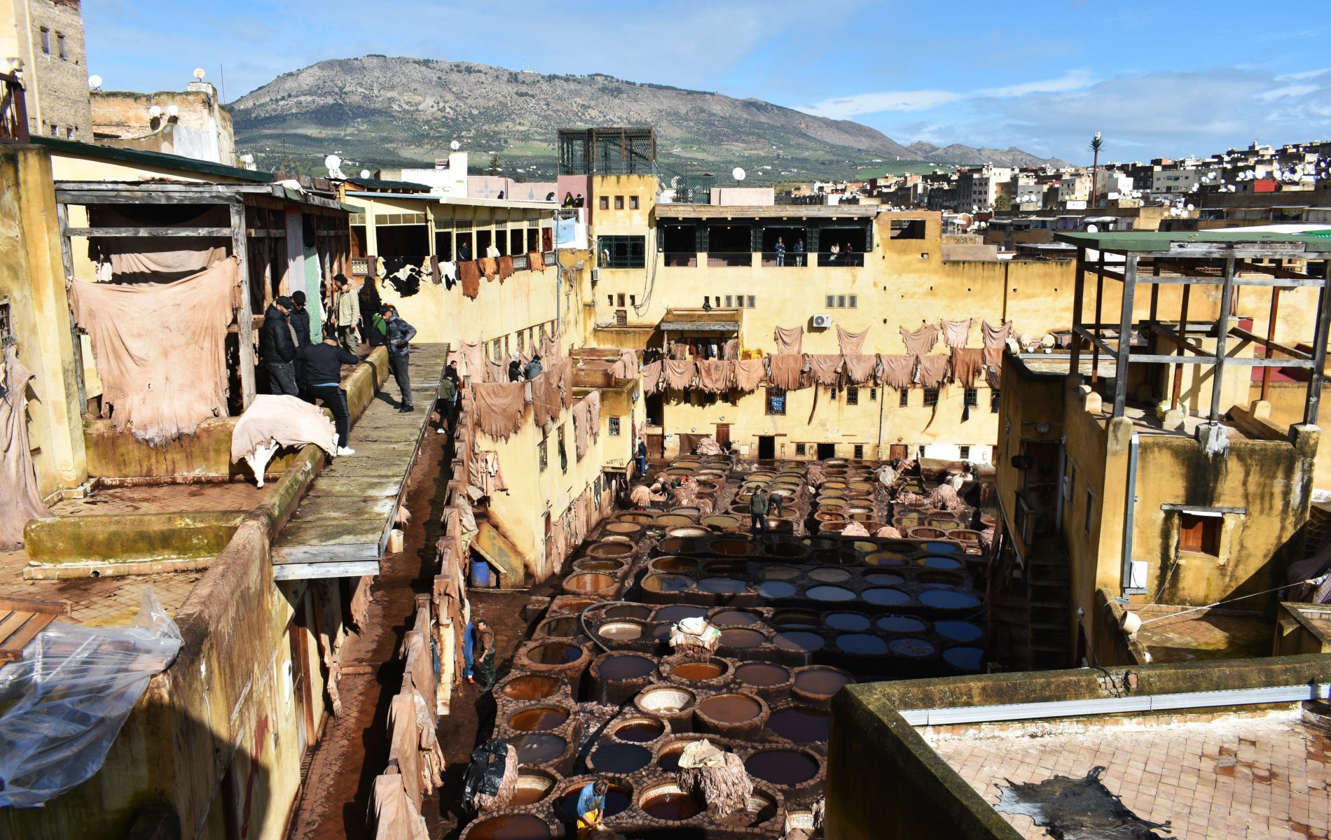 Fez